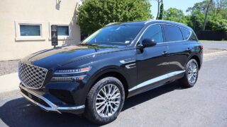 Landscape Gallery Image 5